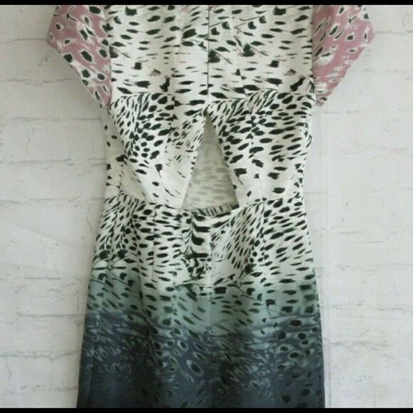 Silenceā+āNoiseāOmbré CheetahāPrintāDressāSizeā10 - Picture 7 of 10